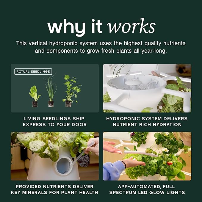 Farmstand Nook 4ft.7” Vertical Hydroponic Garden Tower - Self-Watering, Vertical Hydroponic Tower with LED Grow Lights, 20 Live Seedlings, Smart Timer - Indoor Vertical Growing Tower