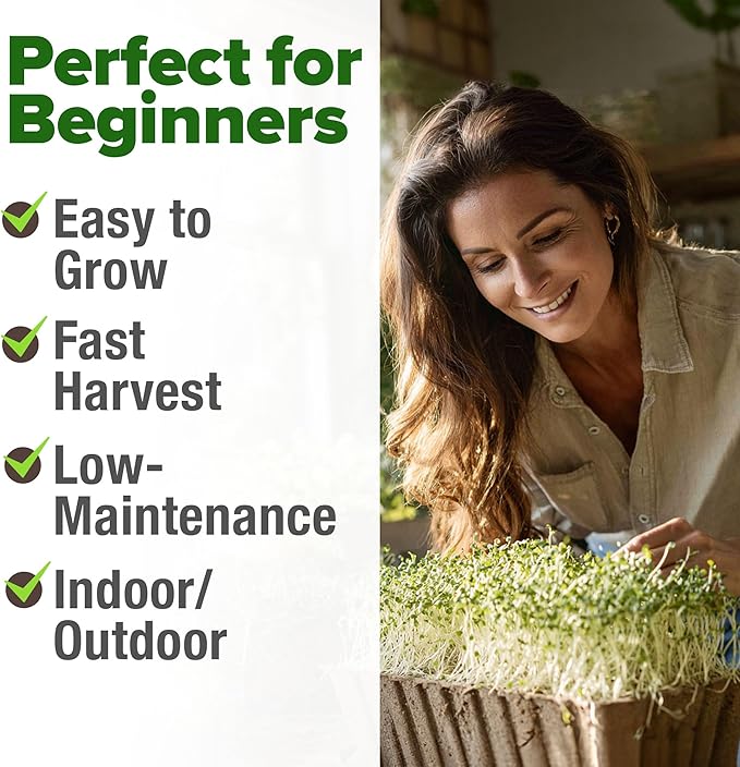 HOME GROWN Non GMO Alfalfa Sprout Seeds 16oz Bulk Pack with Thousands of Seeds Alfalfa for Sprouting & Microgreens Indoor Outdoor Growing Resealable Bag High Germination