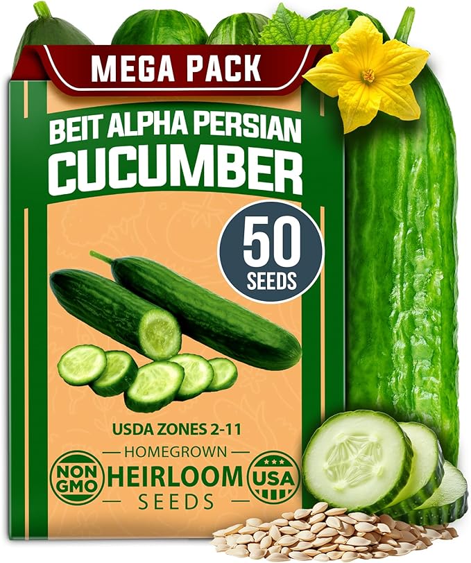 HOME GROWN Non GMO Persian Cucumber Seeds 50+ Heirloom Non-GMO, High-Yielding Beit Alpha Variety | Fast Growing, Sweet Tender Skin, Home Vegetable Garden Seeds (Cucumis sativus)