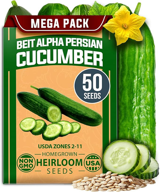 HOME GROWN Non GMO Persian Cucumber Seeds 50+ Heirloom Non-GMO, High-Yielding Beit Alpha Variety | Fast Growing, Sweet Tender Skin, Home Vegetable Garden Seeds (Cucumis sativus)
