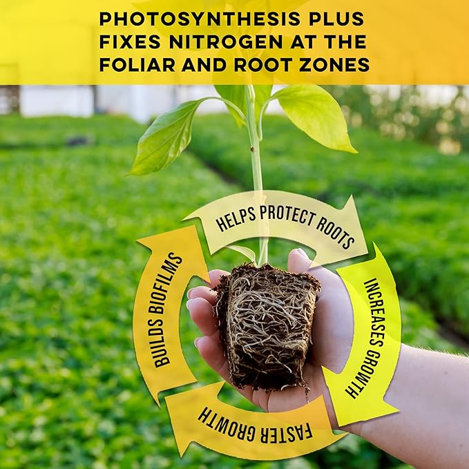Microbe Life Hydroponics Premium Photosynthesis Plus to Grow Fruits, Vegetables, and Herbs, The Best Professional Big Bud Grow, Use with Any Feeding Systems Including Hydroponics or Soil, 32 Ounces