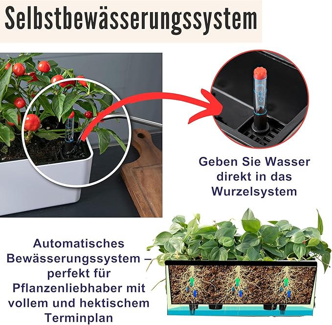 LaLaGreen Planter Box for Indoor Plants (16 Inch, 2 Pack) Black Rectangular Self Watering Flower Pot, Large Window Boxes Planters with Drainage Decorative Modern Balcony Windowsill Herbs Home Garden