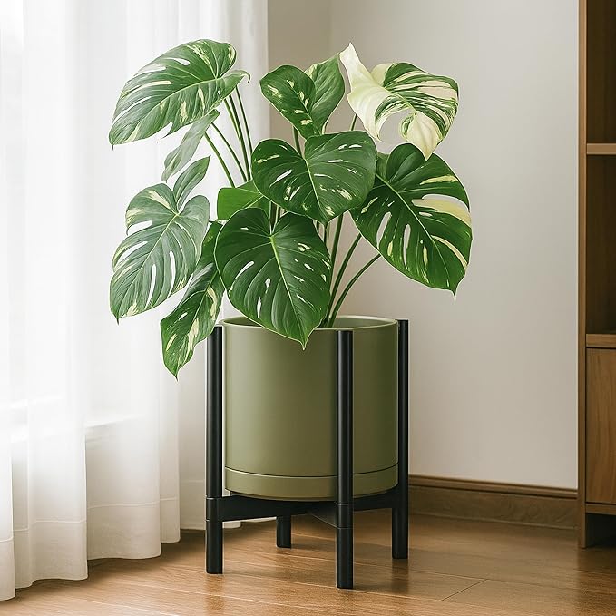 D'vine Dev Ceramic Planter with Ebony Stand - 14 Inch Modern Round Flower Pot with Wood Planter Holder, Olive, 55-B-S-J