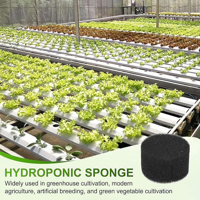 30-Pack Hydroponics Sponges, 1.77 Inch Growing Media Cylindrical Sponges for Planting Gardening Tool/Grow Seedlings/Home Vegetable Flower, Soilless Cultivation Seedling [Black]