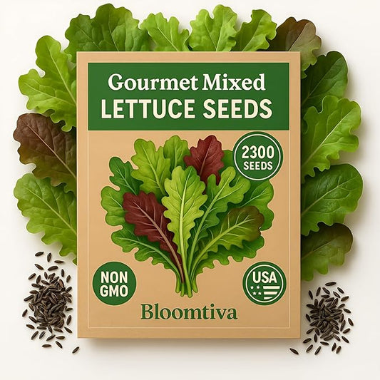 Lettuce Seeds – Gourmet Mixed Greens Blend for Planting | 2300 Bulk Non-GMO USA Heirloom Seeds – Crisp, Fresh & Fast-Growing Garden Variety (Lactuca Sativa)