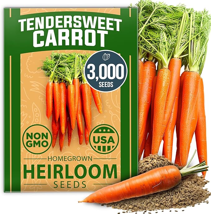 HOME GROWN Tendersweet Carrots Seeds 1 Pack - 3000 Non-GMO Heirloom Carrot Seeds for Planting Outdoors (Daucus carota subsp. sativus)
