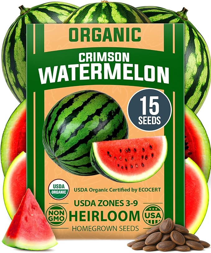HOME GROWN Non GMO Organic Watermelon Vegetable Seeds (Crimson Sweet) 15 Non-GMO, Heirloom Water Melon (7g) for Planting in Home Gardens or Beds Outdoors Citrullus lanatus