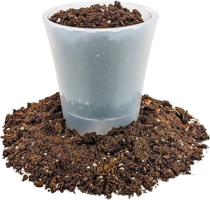GARDENERA Money Tree Potting Soil Mix for Planting or Repotting Guiana Chestnut, Soil Blended to Properly Grow Money Tree Plants (4 Quart Bag)