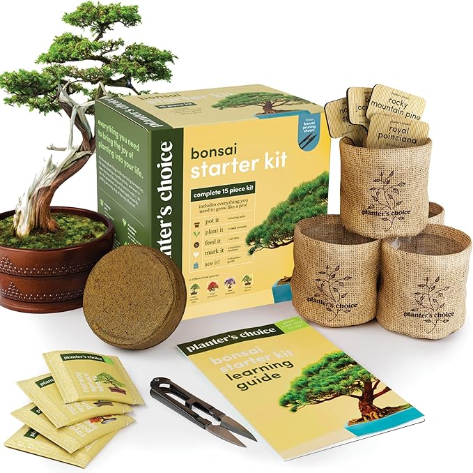 Bonsai Starter Kit - Gardening Easter Gift for Women & Men - Bonsai Tree Growing Garden Crafts Hobby Kits for Adults, Unique DIY Hobbies for Plant Lovers - Unusual Christmas Gifts Ideas
