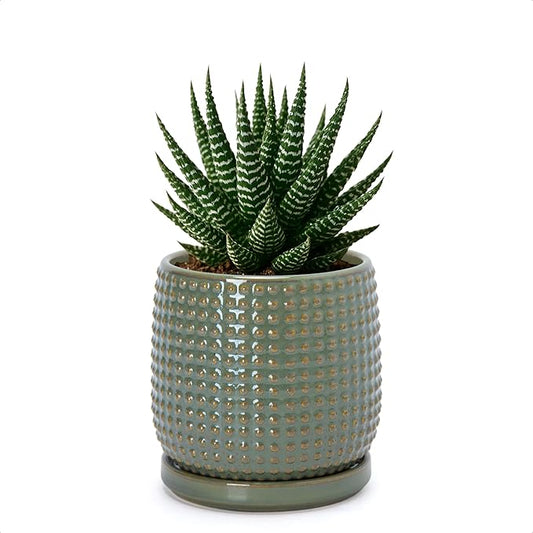 D'vine Dev 4 Inch Ceramic Beaded Stoneware Planter Pot - Flower Pot with Drainage Holes and Saucers for Indoor Succulent Plants or Flowers, Olive, 27-C-Z-0