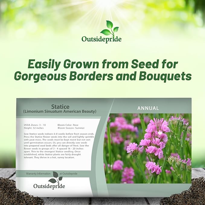 Outsidepride Rose Statice Flower Seeds - 1000 Pcs Annual Easy to Grow Drought Tolerant Flower Seeds for Floral Arrangements, Borders, & Pollinator Garden