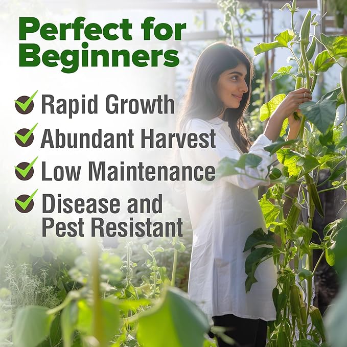 HOME GROWN Non GMO Clemson Spineless Okra Seeds 101+ Heirloom Vegetable Seeds for Planting Easy to Grow Outdoor Summer Garden High Germination Rate (Abelmoschus esculentus)