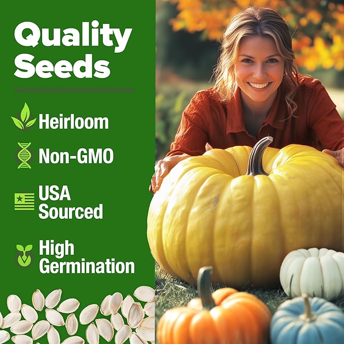 HOME GROWN Non GMO 5 Pumpkin Seeds Mix - 40 Seeds Heirloom Pumpkin for Planting Ideal Garden for Unique Varieties Yellow Paris and Casper, Culinary and Decorative Use