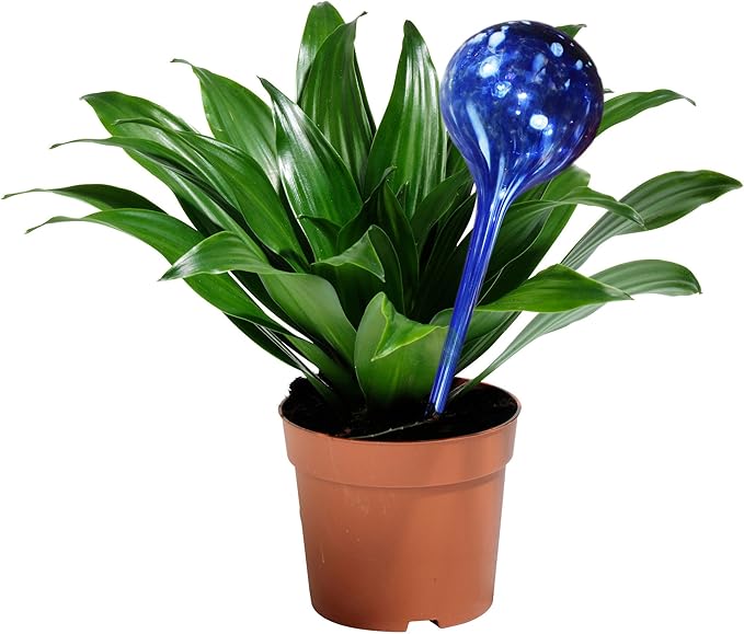 5Star Aqua Plant Watering Globes - Automatic Watering Ball Bulbs - Self Watering Plant Glass Bulbs System (16, Large)