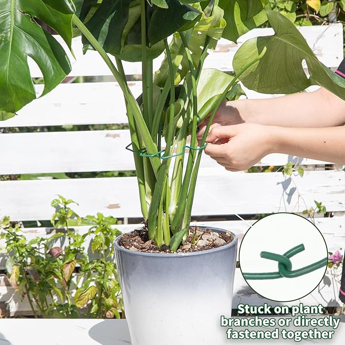 Monstera Plant Stem Support, 5-Pack Durable Indoor Stabilizer for Climbing Plants, 5.5x4.7 Inches Leaf Holder, for Plant Lovers, Enhance Your Indoor Garden