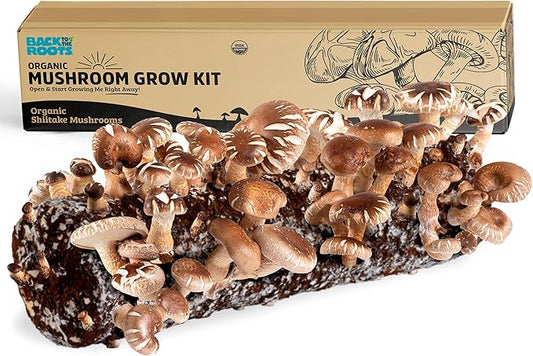 Back to the Roots Organic Shiitake Mushroom Kit; Great Gift; Easy for Beginners, For Indoor Growing (Start Growing Right Away)