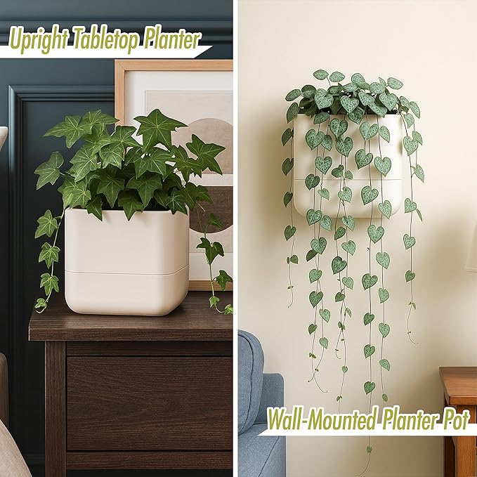 Phoenix Vine 6.5-Inch Wall Mounted Self-Watering Planter Pot for Indoor Houseplants and Herbs | Hanging Planter for Window Sills, Bathroom Walls, Home & Office Décor, Oatmeal, Set of 1, 01-WP-D-1