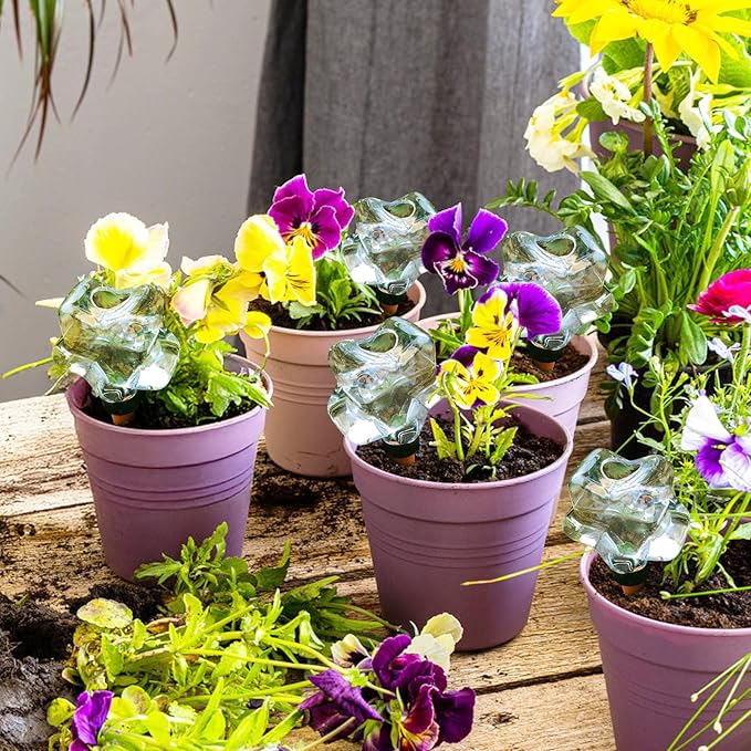 6 Pack (6.76 oz) Self-Watering Globes for Indoor & Outdoor Plants Automatic Watering Planter Insert Star Shaped