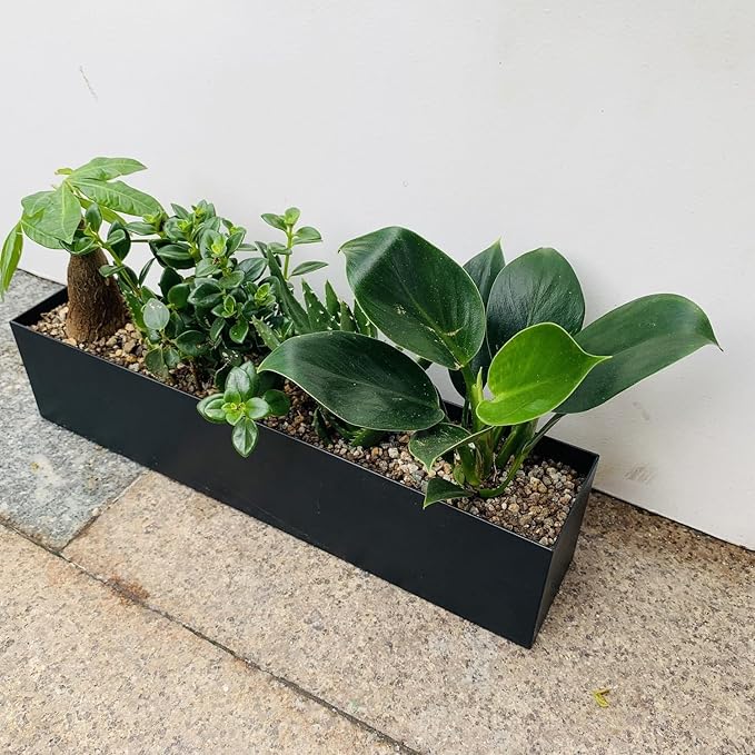 Modern Metal Steel Trough Planter - Rectangle Black Planters for Indoor - 16" Window Sill Planters - Table or Window Boxes Planter - Windowsill Herb(1pc Short Black)