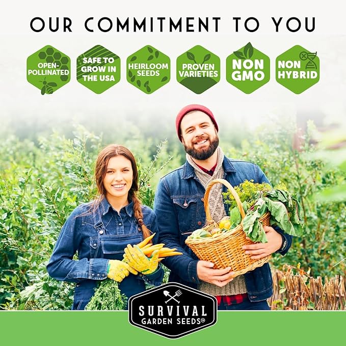 Jalapeño Pepper Seeds for Planting | Hot Heirloom Non-GMO Peppers for Pickling & Salsas – Survival Garden Seeds (3 Packs)