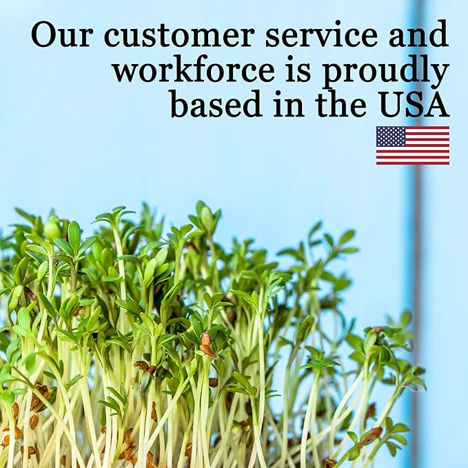 Bulk Slow Bolt Cilantro Seeds – 1 LB – 40,000+ Non-GMO Heirloom Seeds – High-Germination for Microgreens, Herb Gardens & Outdoor Planting – Fresh Coriander Greens for Cooking & Garnishes