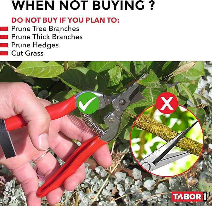TABOR TOOLS Pruning Shears, Florist Scissors, Multi-Tasking Garden Snips for Arranging Flowers, Trimming Plants and Harvesting Herbs, Fruits or Vegetables. K17A. (Straight, Stainless Steel Blades)