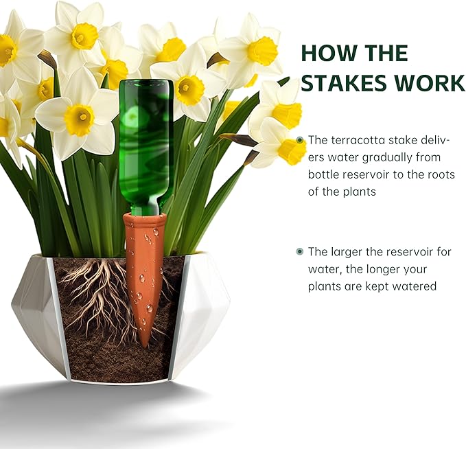 Large Terracotta Watering Spikes with Lids, Automatic Plant Waterer Outdoor | Indoor, Vacation Friendly Clay Plant Watering Devices System, Slow Release Self Watering Planter Insert, 8 Pack