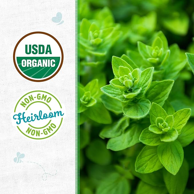 Back to The Roots 100% Organic Heirloom Seeds - Oregano Value Pack (140mg Total)