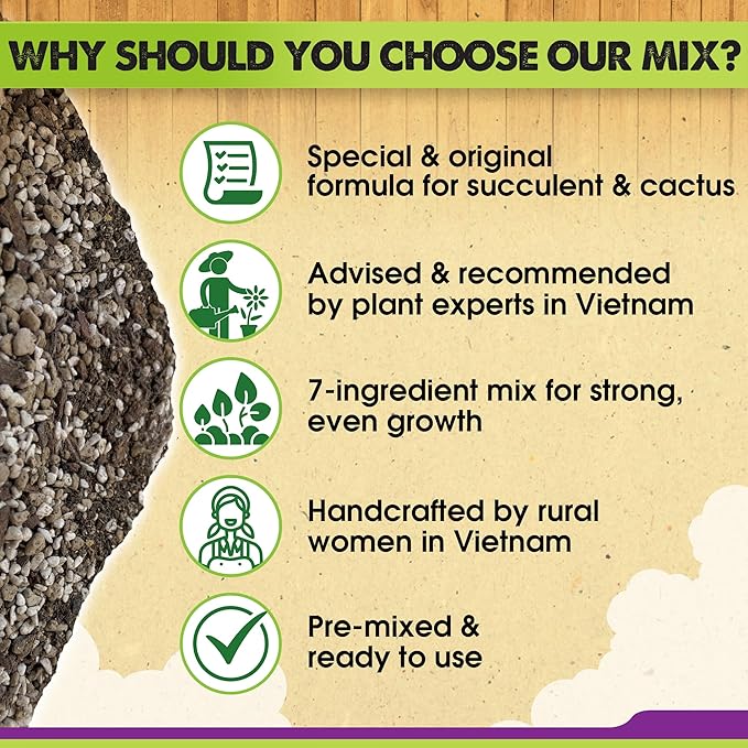 DUSPRO Succulents Soil Potting Mix – 7 in 1 Ingredients Well-Draining, Nutrient-Rich Cactus Potting Soil for Succulents and Cacti, Indoor & Outdoor Use, Ready to Use, Supports Healthy Root Growth, 1QT