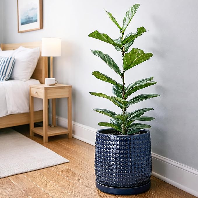 D'vine Dev 10 Inch Ceramic Beaded Stoneware Planter Pot - Flower Pot with Drainage Holes and Saucers for Indoor Succulent Plants or Flowers, Midnight Blue, 27-C-P-3