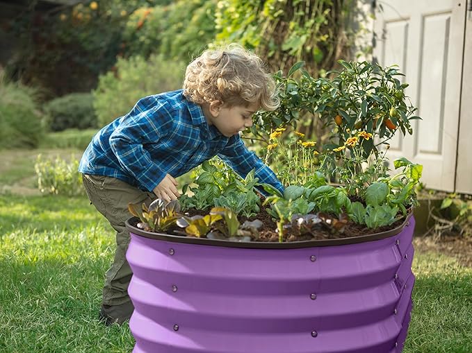 Galvanized Raised Garden Beds Outdoor // 4×2×1 ft (2-Pack) Planter Raised Beds for Gardening, Vegetables, Flowers (Purple) // Large Metal Garden Box