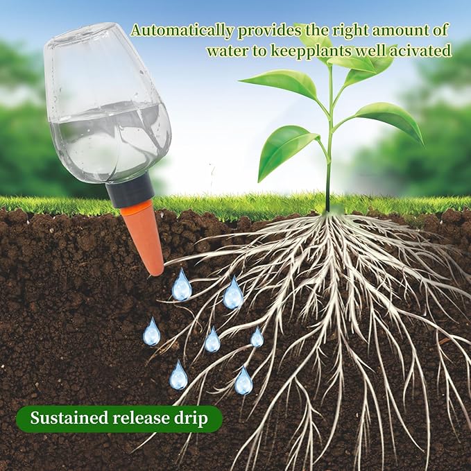 6pack Plant Self Watering Globes, Plastic Water Bulbs Top Fill, 12.3 oz Plant Watering Devices System Slow Release Terracotta, Water Spikes Stakes for Indoor (Clear-6pack)