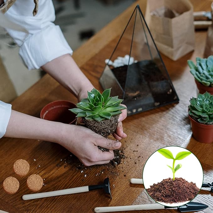 ZeeDix 50pcs 30mm Coco Coir Pellets Potting Soil, Organic Coconut Fiber Seed Starter Soil Pellets, Coconut Coir Soil Discs for Indoor Outdoor Plants, Herbs Houseplants Flowers Succulents Vegetables