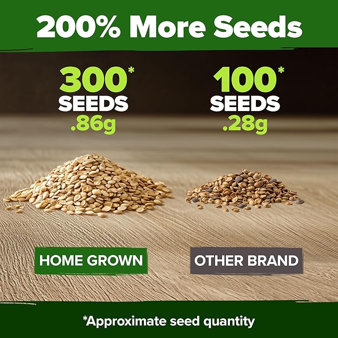 HOME GROWN Beefsteak Tomato Seed Pack - 300 Heirloom Tomato Seeds for Planting Outdoors High-Yield Non-GMO Vegetable Seeds for Growing Large, Meaty Tomatoes for Summer Dishes (Solanum lycopersicum)