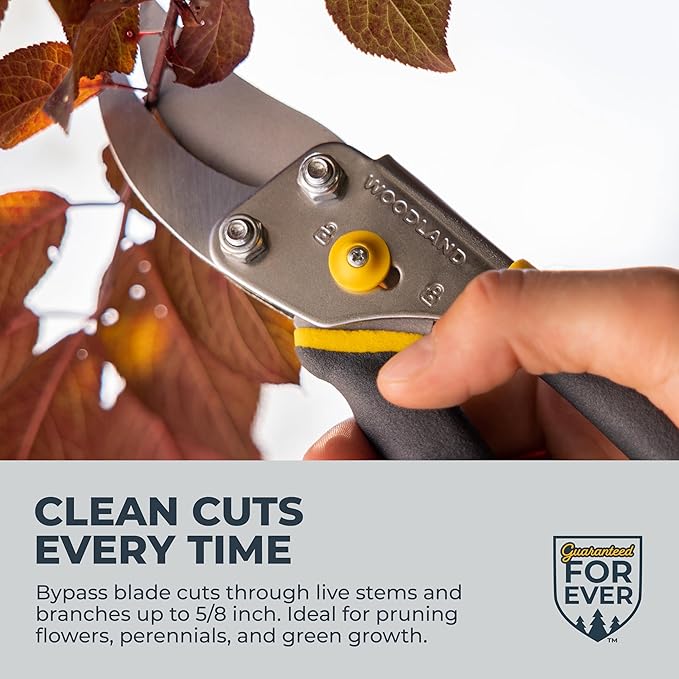 Woodland Tools Co. Bypass Pruning Shears for Gardening – 5/8" Cut Capacity, High Carbon Steel Blade with Non-Stick Coating, Soft Grip, Steel Handle, Hand Pruner for Plants, Flowers, and Shrubs