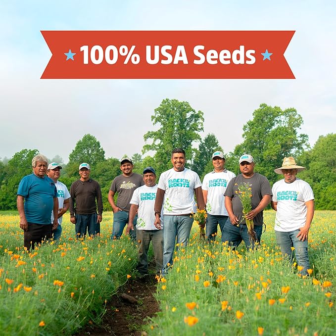 Back to The Roots 100% Organic Heirloom Seeds - Mesclun Young Salad Greens Mix Value Pack (840mg Total)