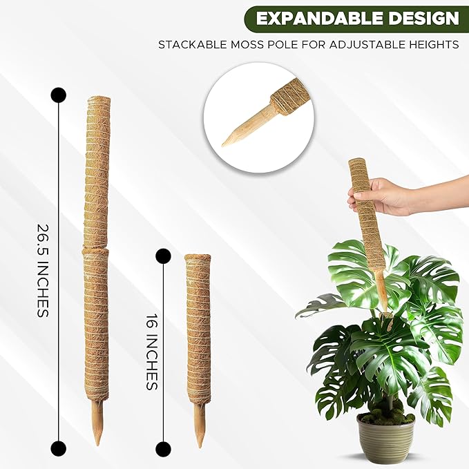 EcoNour 26.5" (2 Pack -16") Stackable Moss Pole for Monstera Plant Support | Moss Pole Sticks for Indoor Plants | Bamboo Plant Stakes,Climbing,Potted,Pothos| Philodendron & Creepers with Tie Accessory