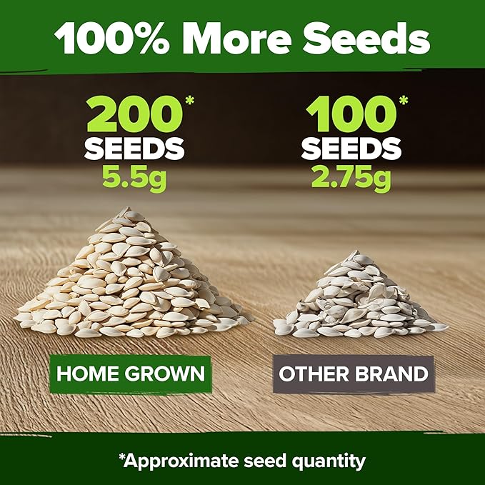 HOME GROWN Non GMO Organic Cucumber Seeds - 200 Marketmore Heirloom Vegetable Seeds for Planting in Trellises, Raised Beds, Containers (Cucumis sativus)