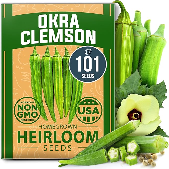 HOME GROWN Non GMO Clemson Spineless Okra Seeds 101+ Heirloom Vegetable Seeds for Planting Easy to Grow Outdoor Summer Garden High Germination Rate (Abelmoschus esculentus)
