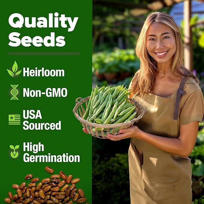 HOME GROWN Non GMO Contender Bush Bean Pack - 28 Heirloom Green Beans, Vegetable Seeds for Planting, Emergency Food Supply (Phaseolus vulgaris)