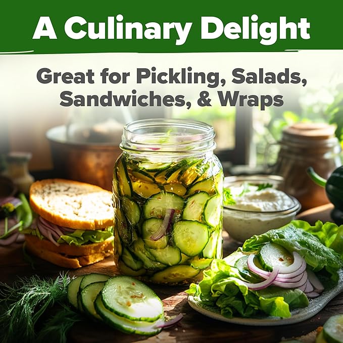 HOME GROWN Non GMO Organic Cucumber Seeds - 200 Marketmore Heirloom Vegetable Seeds for Planting in Trellises, Raised Beds, Containers (Cucumis sativus)