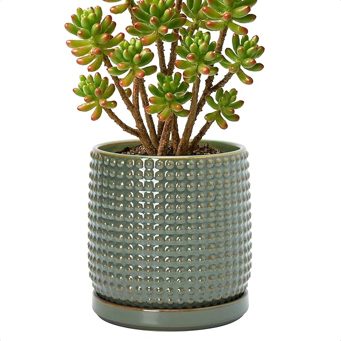 D'vine Dev 6 Inch Ceramic Beaded Stoneware Planter Pot - Flower Pot with Drainage Holes and Saucers for Indoor Succulent Plants or Flowers, Olive, 27-C-X-0