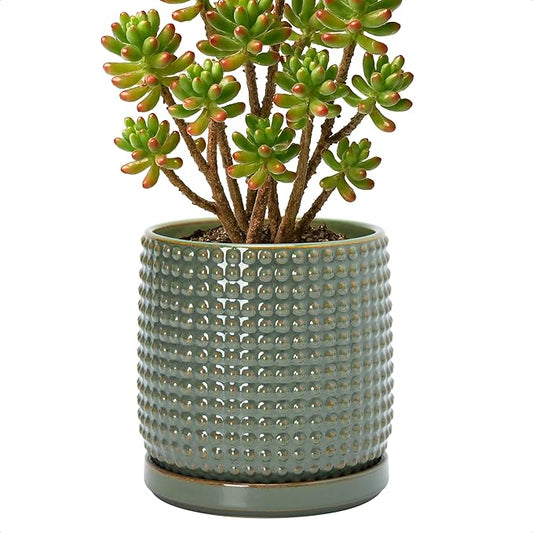 D'vine Dev 6 Inch Ceramic Beaded Stoneware Planter Pot - Flower Pot with Drainage Holes and Saucers for Indoor Succulent Plants or Flowers, Olive, 27-C-X-0