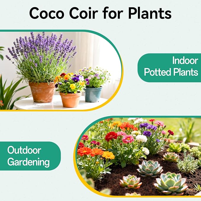 ZeeDix 50pcs(40mm) Coco Coir Pellets Potting Soil Indoor Plants, Compressed Coconut Coir Soil Pellets Seed Starting Pellets Soil Discs for Planting Flowers Bonsai Herbs Plants and Vegetables