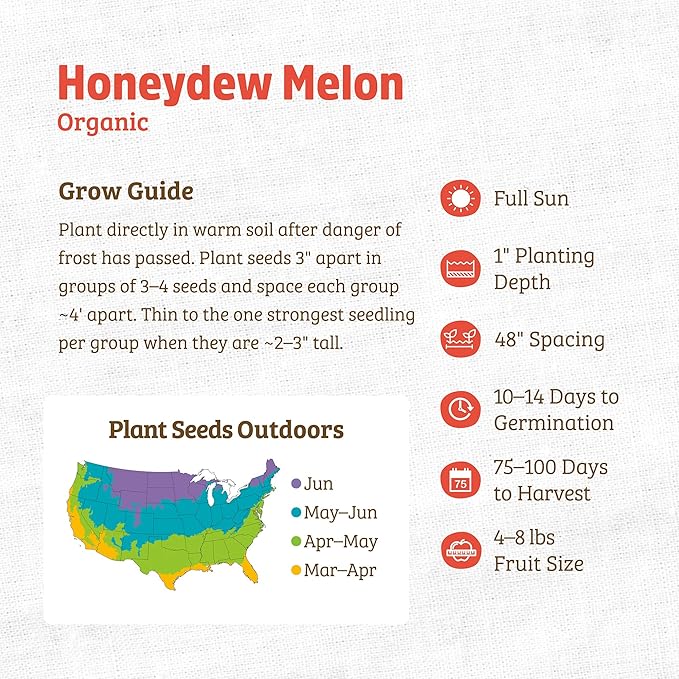 Back to The Roots 100% Organic Heirloom Seeds - Honeydew Melon Value Pack (1.6g Total)