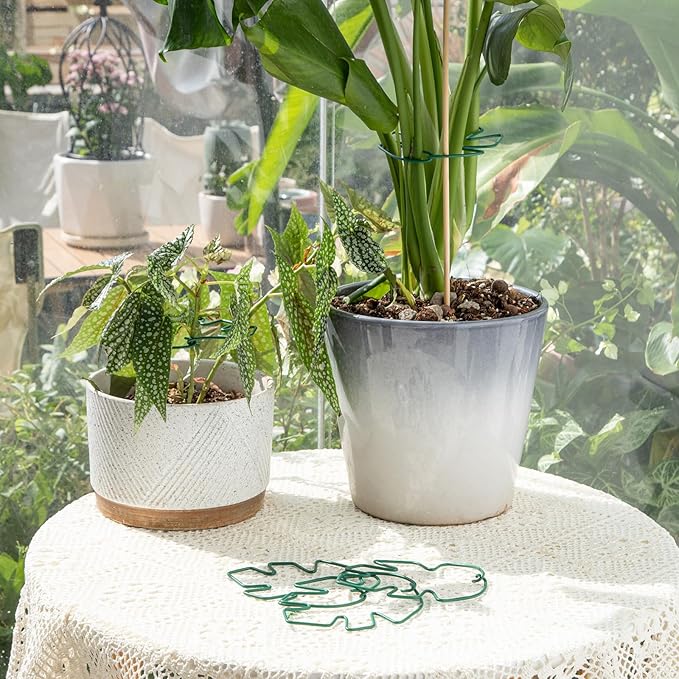 Monstera Plant Stem Support, 5-Pack Durable Indoor Stabilizer for Climbing Plants, 5.5x4.7 Inches Leaf Holder, for Plant Lovers, Enhance Your Indoor Garden