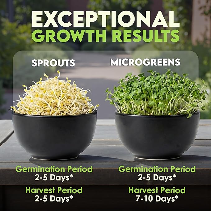 Nature Jims Sprouts Alfalfa Seeds – Non-GMO Organic Sprout Growing Kit for Planting – Premium Resealable Bag for Fresh Homegrown Sprouting Seeds – Rich in Nutrients, Vitamins, Fiber & Minerals – 16oz