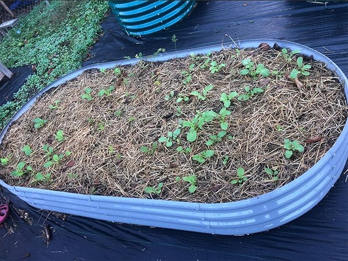 6 Pack 8x4x1FT Galvanized Raised Garden Bed Kit Oval Metal Ground Planter Box Outdoor Bottomless Planter Raised Beds for Vegetables Flowers Herbs Fruits, Gray