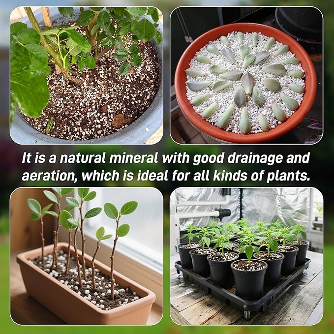 29 Quarts Perlite for Plant Soil - Amendment for Potting Soil, Improves Drainage and Aeration for Soil,Better for Root Growth (1/4 inch)