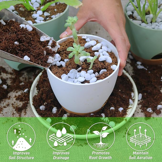 29 Quarts Perlite for Plant Soil - Amendment for Potting Soil, Improves Drainage and Aeration for Soil,Better for Root Growth (1/4 inch)